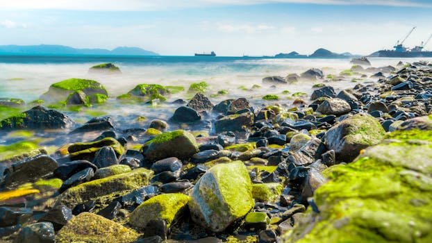 tranquil beach for relaxation