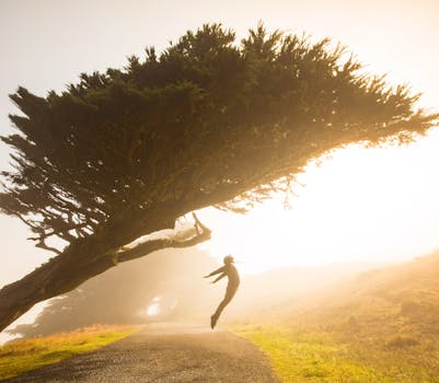 A peaceful nature scene for meditation